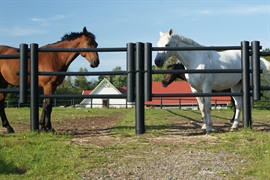 EquiSafe hegnslåge dobbelt sort